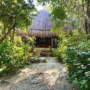  Campsite Glamping Bunga Lotus Mexico